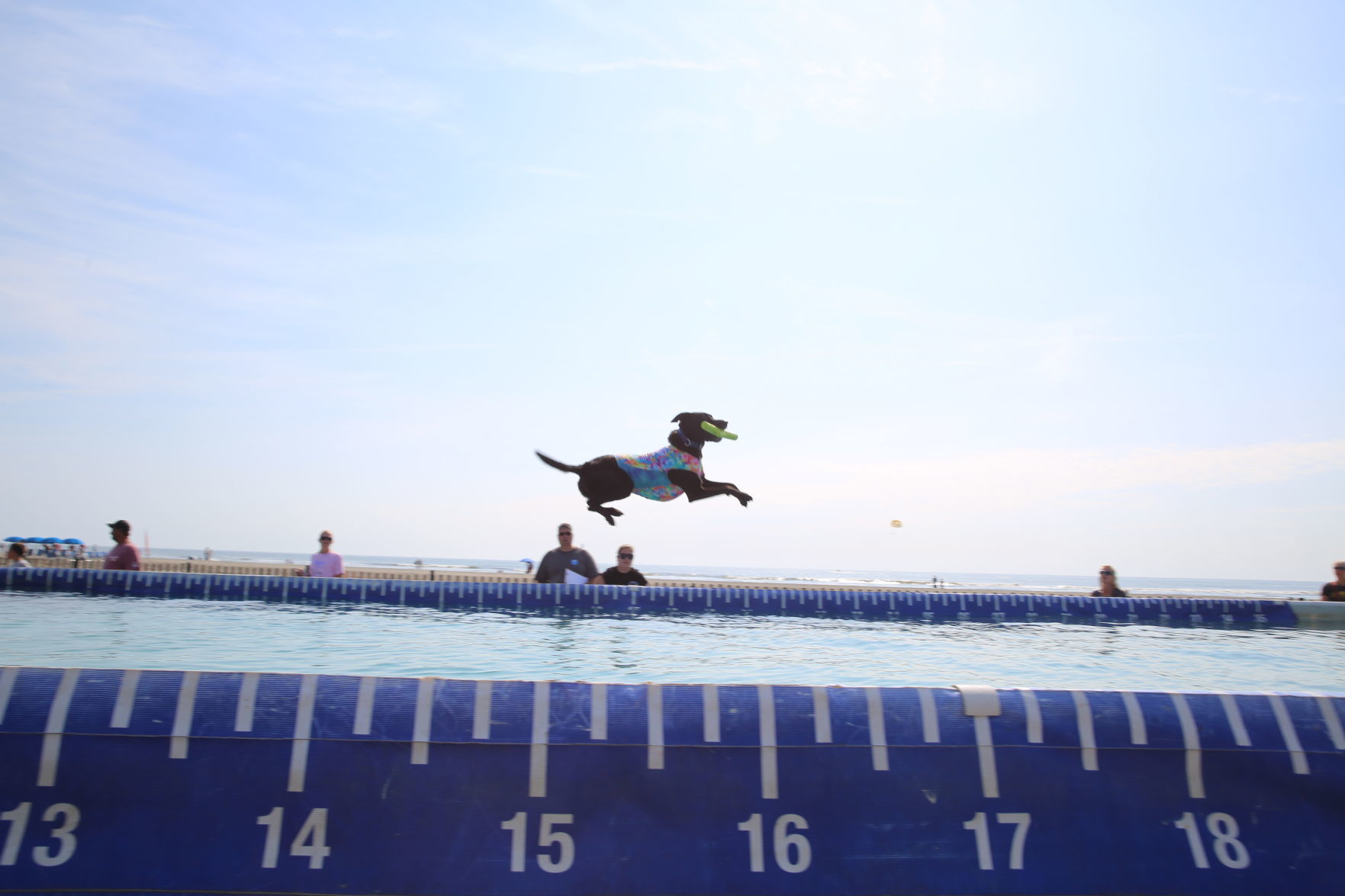 090919_gal_dockdogsWW (57)